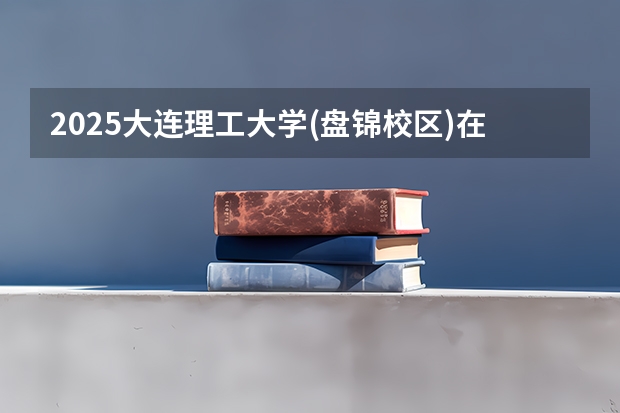 2025大连理工大学(盘锦校区)在重庆招生计划人数一览表