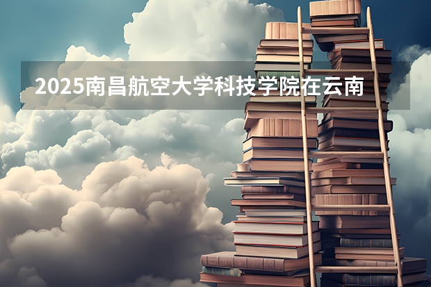 2025南昌航空大学科技学院在云南招生计划一览表