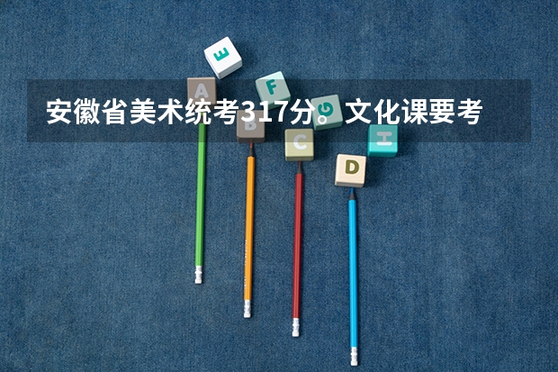 安徽省美术统考317分。文化课要考多少,大概能上一本?