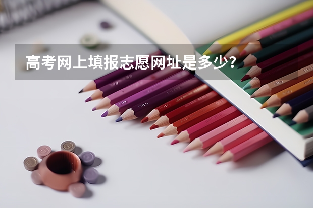 高考网上填报志愿网址是多少？