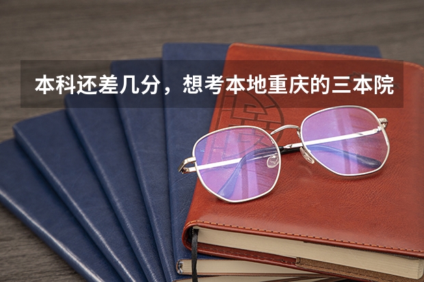 本科还差几分,想考本地重庆的三本院校哪些学校好考?