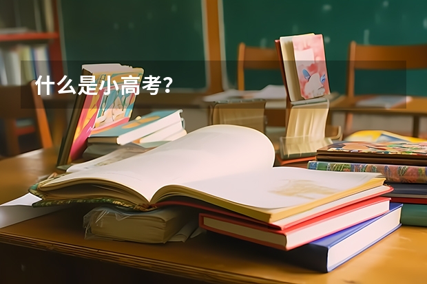 什么是小高考？