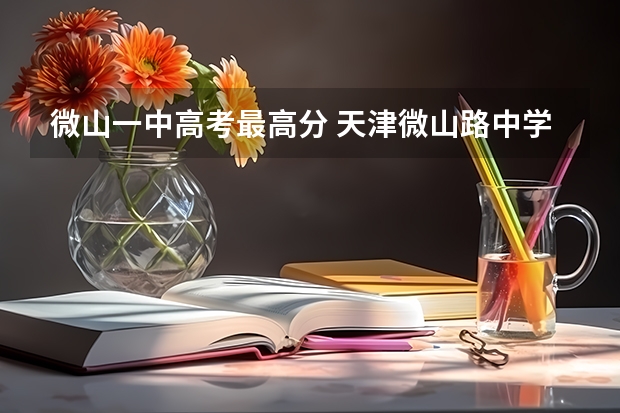 微山一中高考最高分 天津微山路中学高考成绩