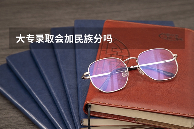 大专录取会加民族分吗