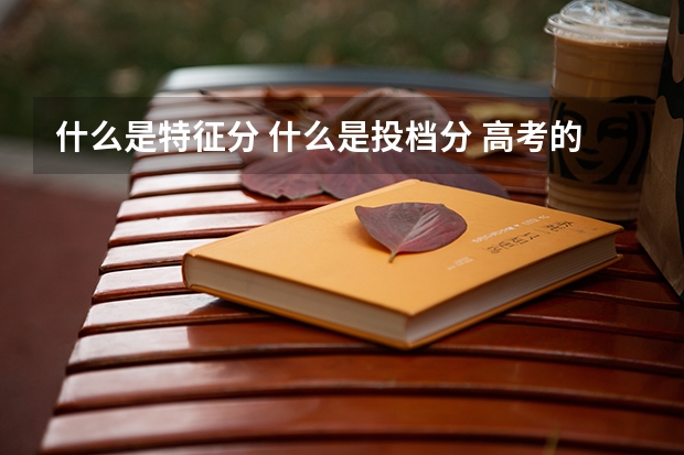 什么是特征分 什么是投档分 高考的成绩是语数外,还是什么啊?谢谢