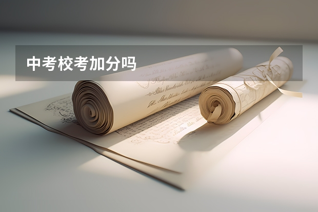 中考校考加分吗