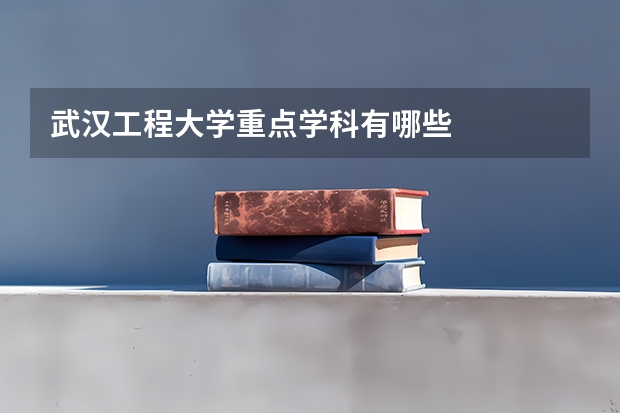 武汉工程大学重点学科有哪些