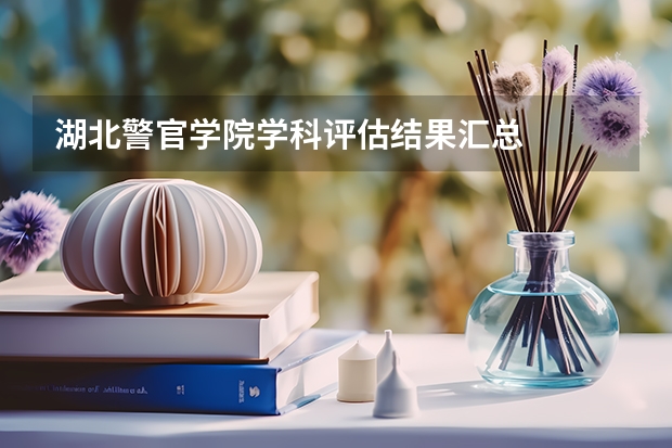 湖北警官学院学科评估结果汇总