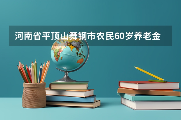 河南省平顶山舞钢市农民60岁养老金2025年的认证时间 河南二建2025年考试时间