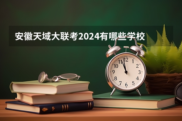 安徽天域大联考2024有哪些学校