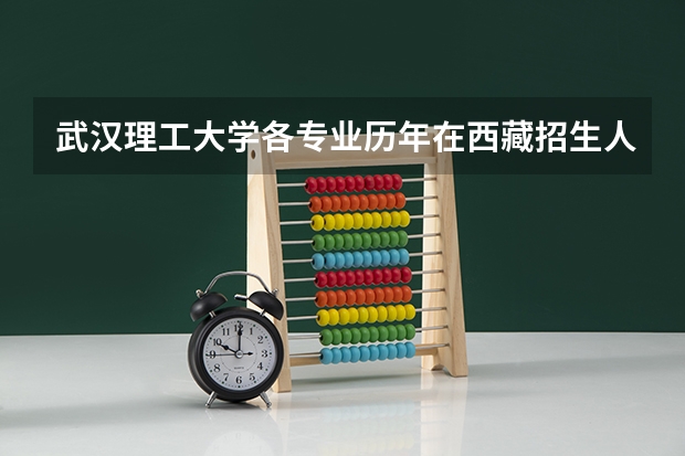 武汉理工大学各专业历年在西藏招生人数是多少