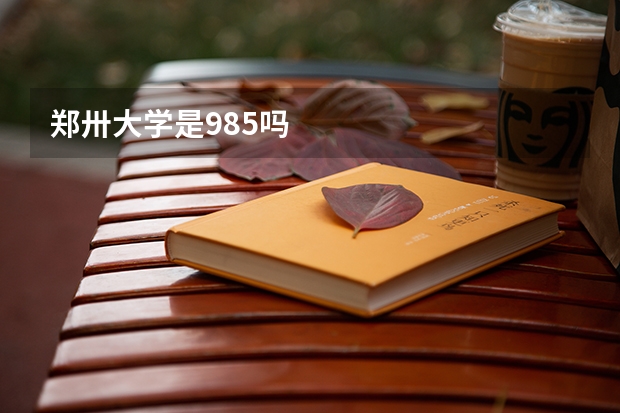 郑卅大学是985吗