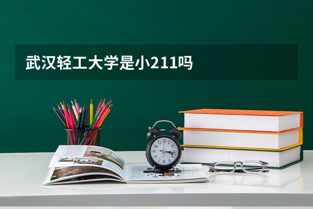 武汉轻工大学是小211吗