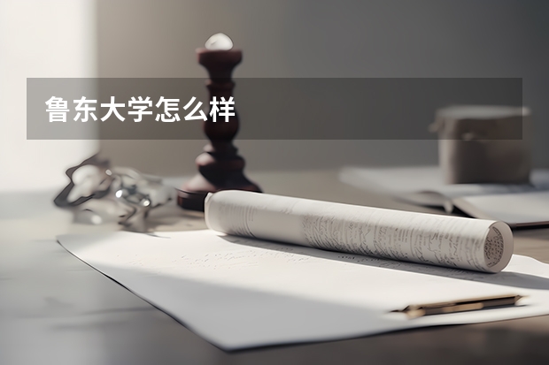 鲁东大学怎么样