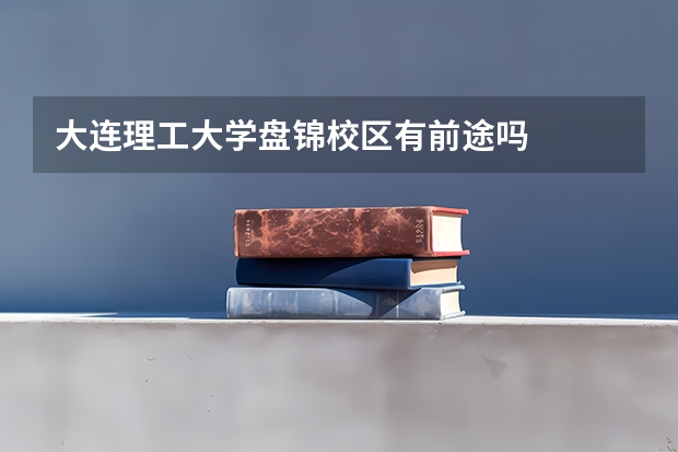 大连理工大学盘锦校区有前途吗