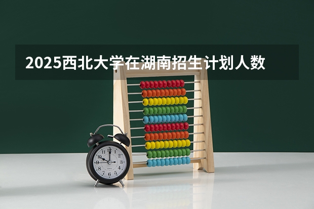2025西北大学在湖南招生计划人数一览表