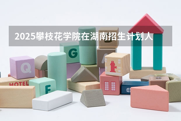 2025攀枝花学院在湖南招生计划人数一览表