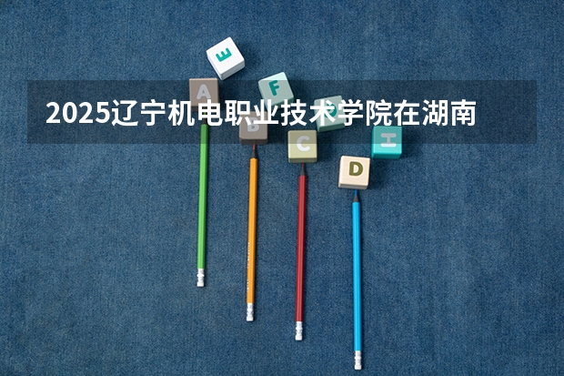 2025辽宁机电职业技术学院在湖南招生计划人数一览表