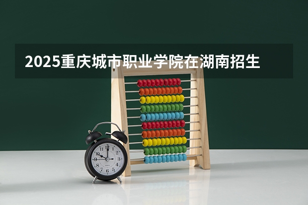 2025重庆城市职业学院在湖南招生计划人数一览表