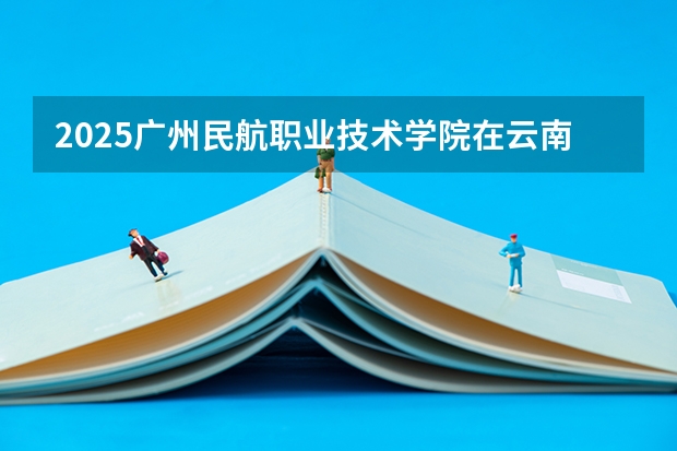 2025广州民航职业技术学院在云南招生计划一览表