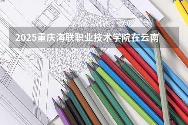 2025重庆海联职业技术学院在云南招生计划一览表