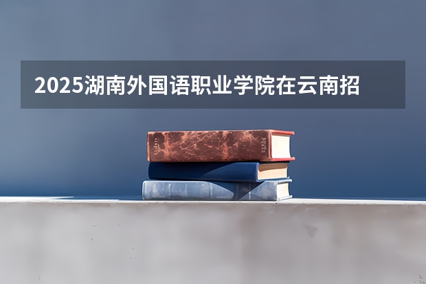 2025湖南外国语职业学院在云南招生计划一览表