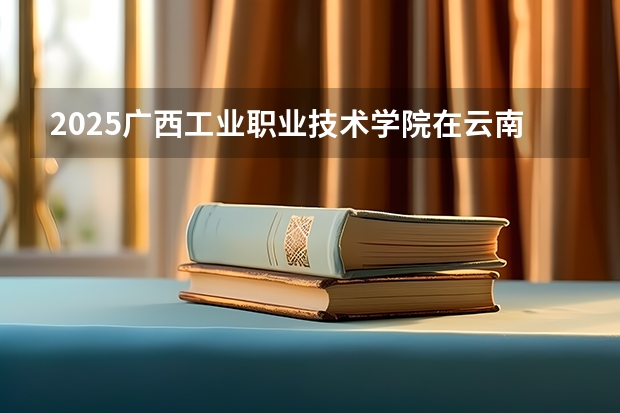 2025广西工业职业技术学院在云南招生计划一览表