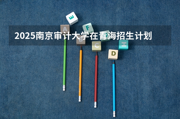2025南京审计大学在青海招生计划一览表