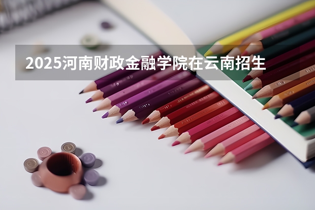 2025河南财政金融学院在云南招生计划一览表