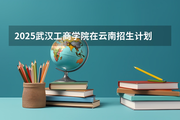 2025武汉工商学院在云南招生计划一览表