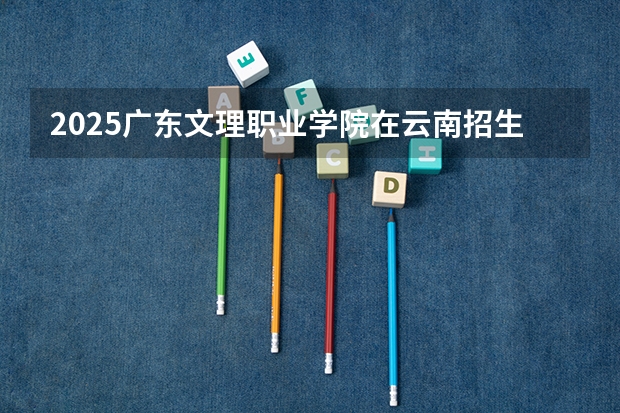 2025广东文理职业学院在云南招生计划一览表