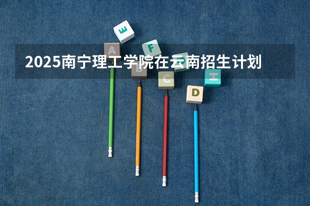 2025南宁理工学院在云南招生计划一览表