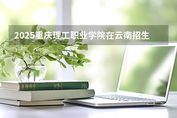 2025重庆理工职业学院在云南招生计划一览表