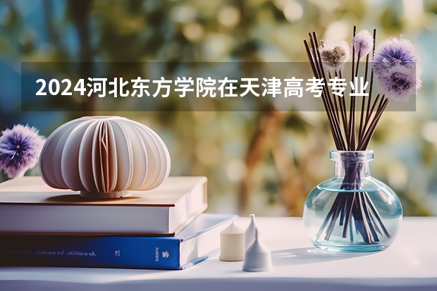 2024河北东方学院在天津高考专业招生计划人数预测