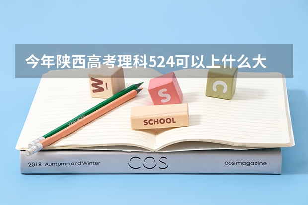 今年陕西高考理科524可以上什么大学