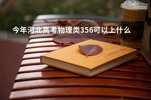今年河北高考物理类356可以上什么大学