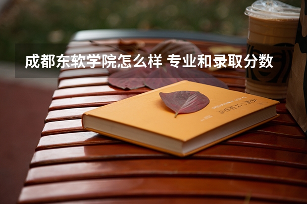成都东软学院怎么样 专业和录取分数线介绍