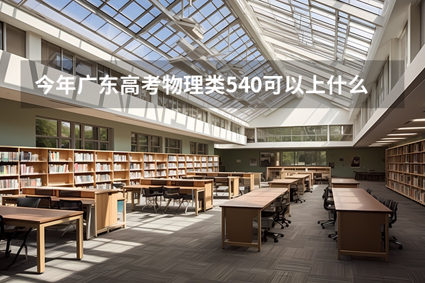 今年广东高考物理类540可以上什么大学