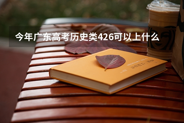 今年广东高考历史类426可以上什么大学