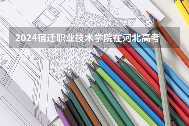 2024宿迁职业技术学院在河北高考专业招生计划人数预测