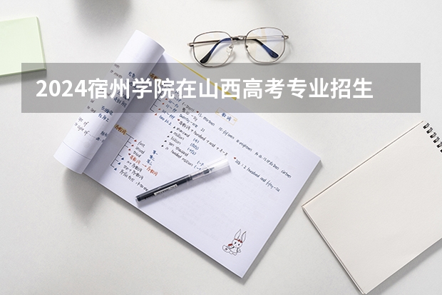 2024宿州学院在山西高考专业招生计划人数预测