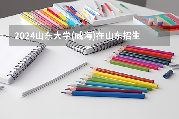 2024山东大学(威海)在山东招生计划表