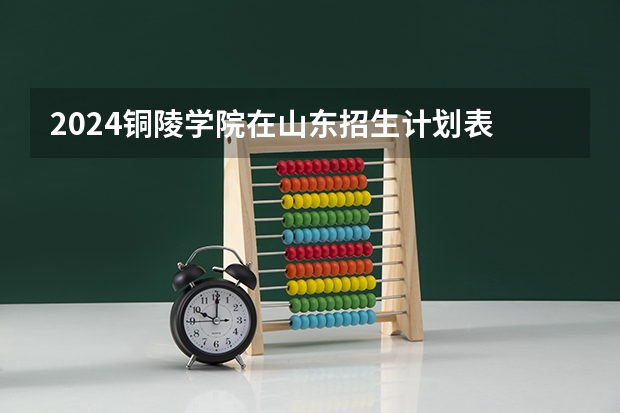 2024铜陵学院在山东招生计划表