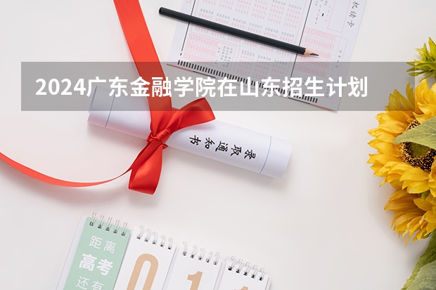 2024广东金融学院在山东招生计划表