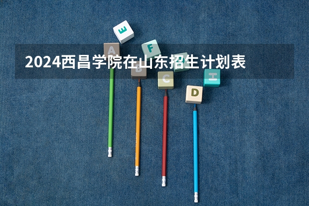 2024西昌学院在山东招生计划表