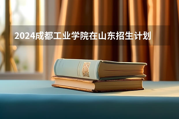 2024成都工业学院在山东招生计划表