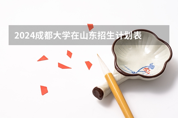 2024成都大学在山东招生计划表