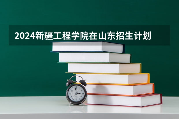 2024新疆工程学院在山东招生计划表