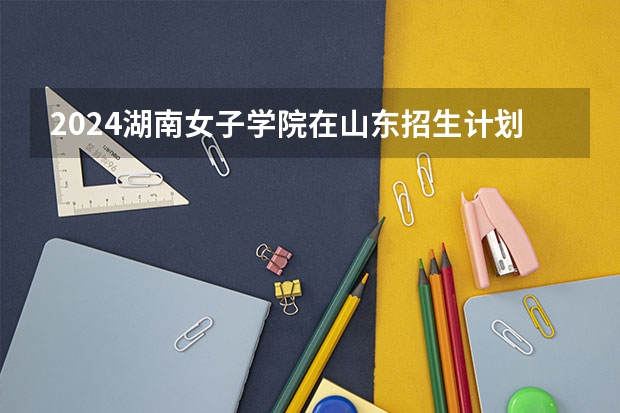2024湖南女子学院在山东招生计划表