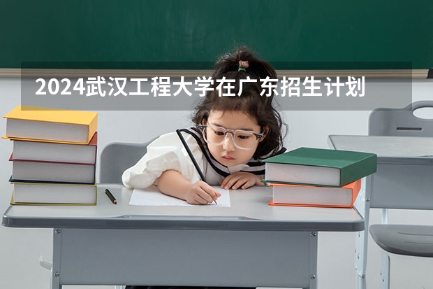 2024武汉工程大学在广东招生计划表